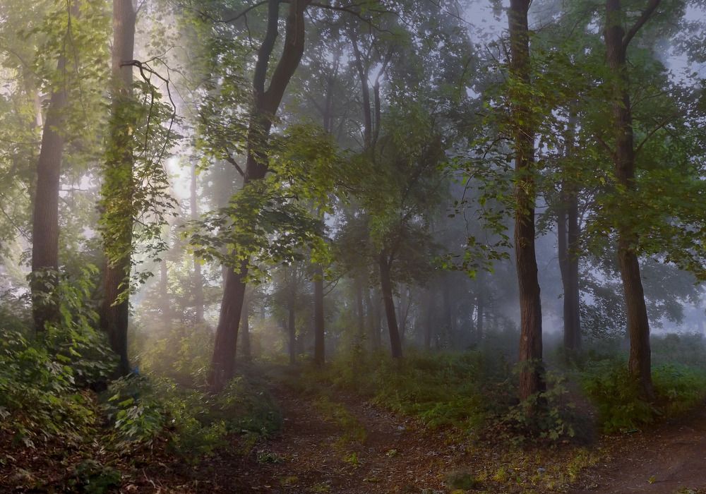 тепло-хладное таинство