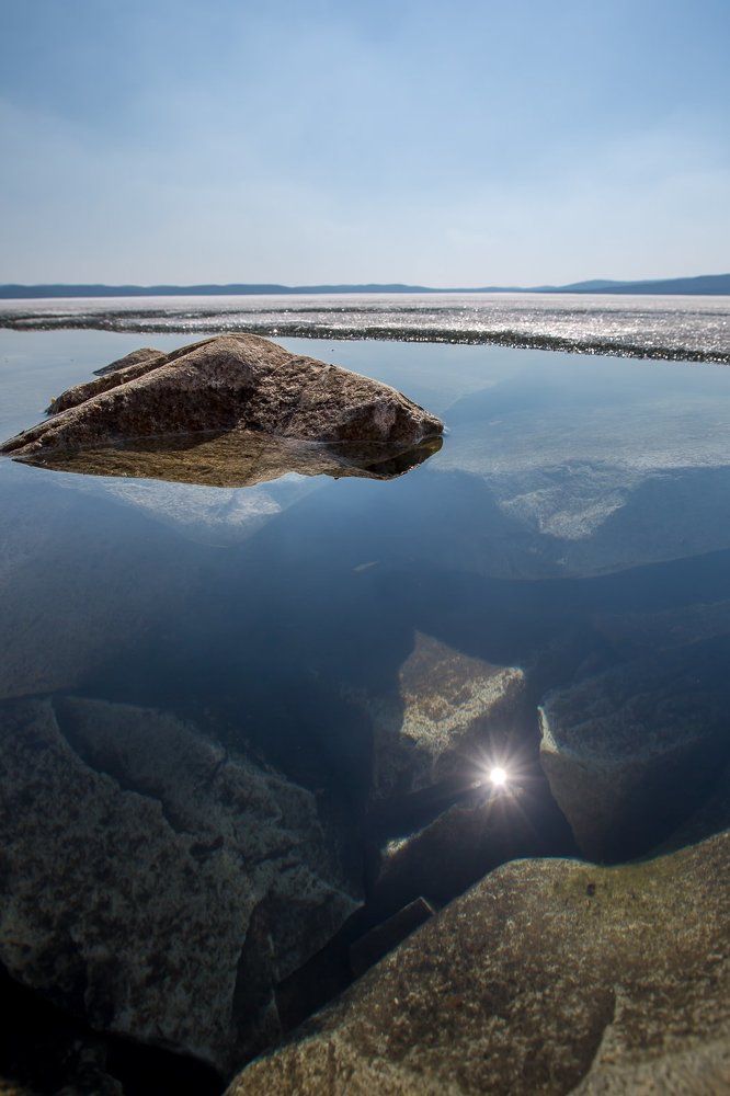 Зайчик в глубине