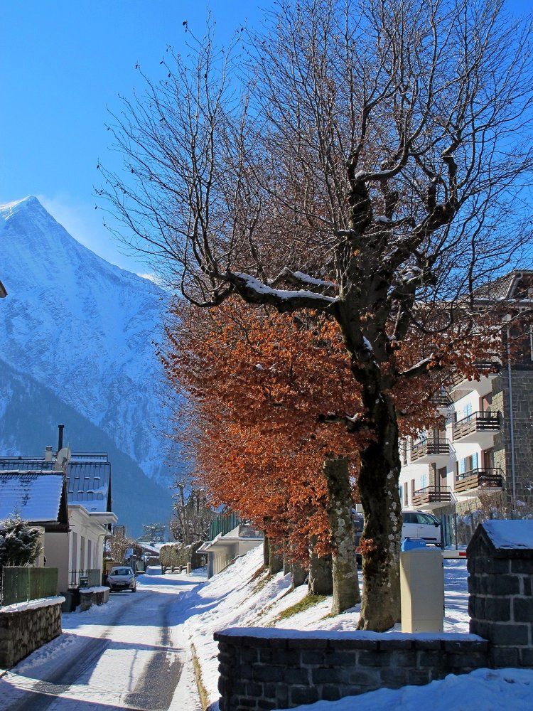 Осень в зиме