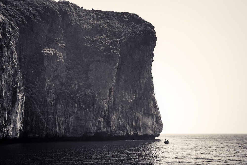 Слон и муха