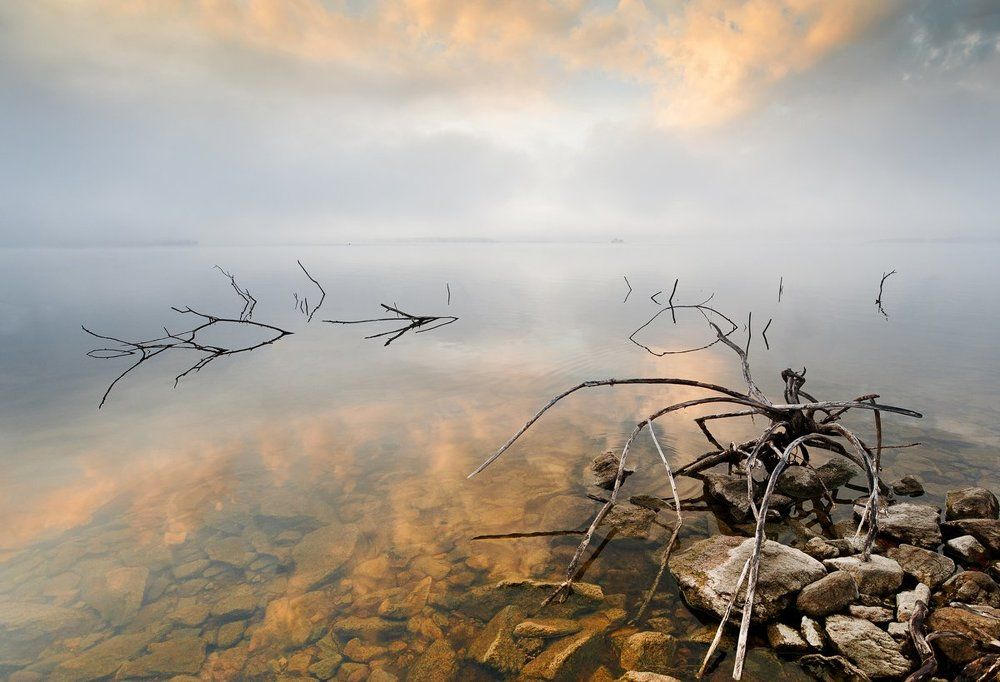 От заката до рассвета