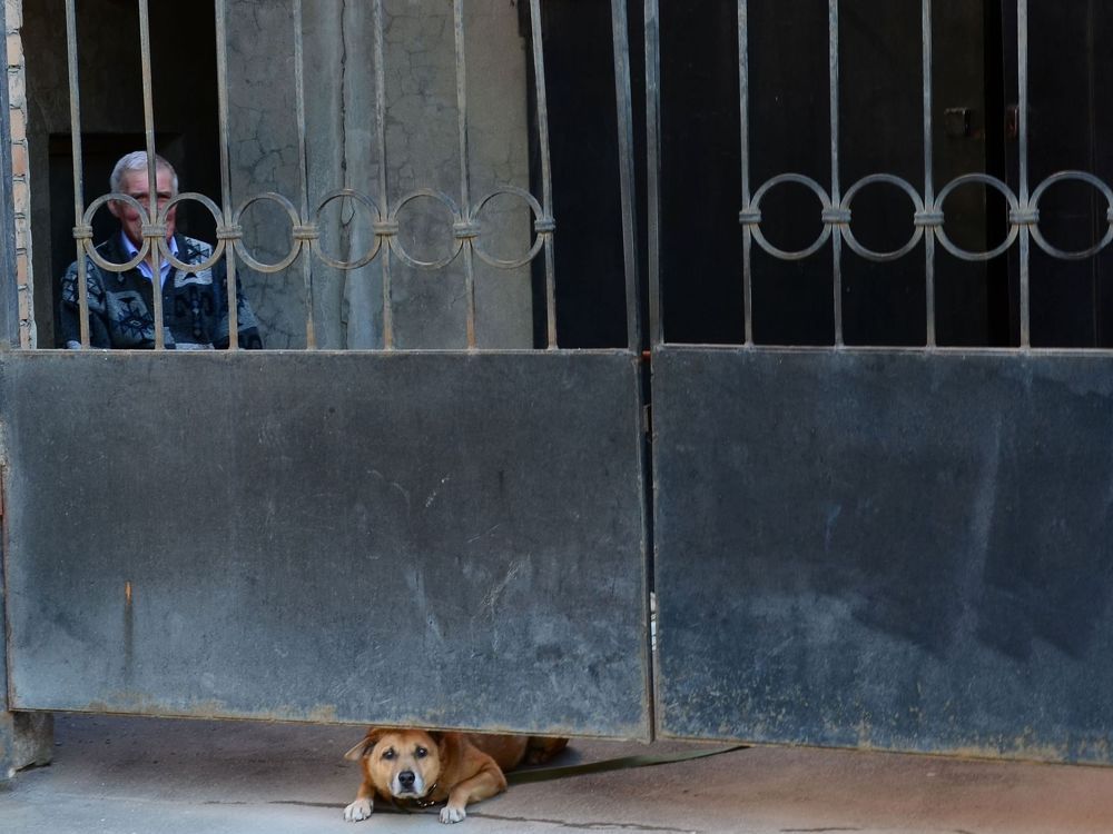 наблюдатели