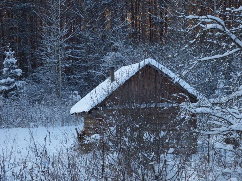 Зимняя сказка