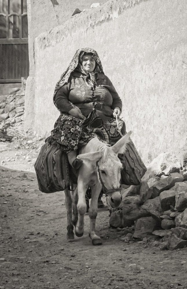 Домашний "транспорт"