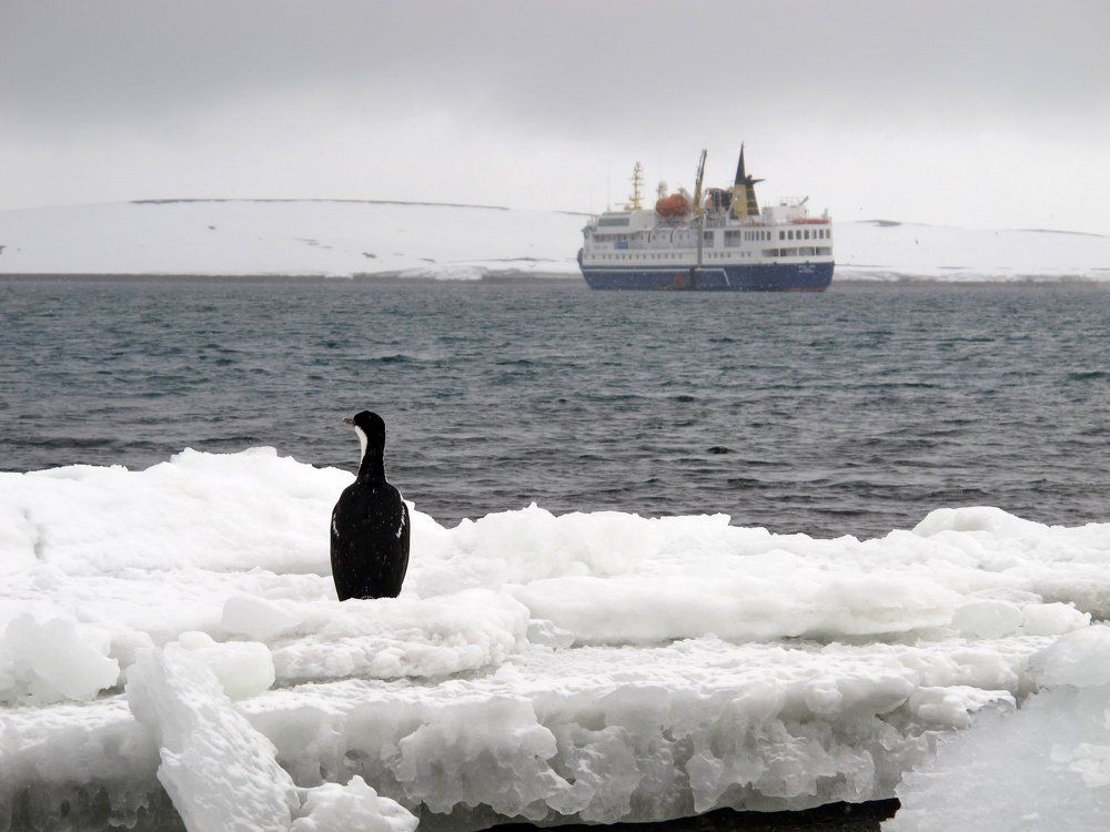 До свидания, мой друг, до свидания