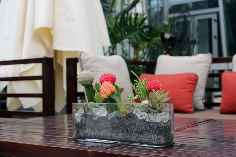 Жоголь Наталия, Russia