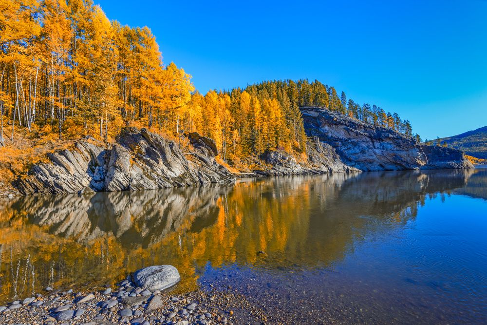 Берега Золотой Реки