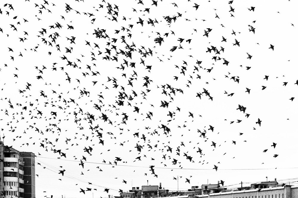 Пролетая над городом