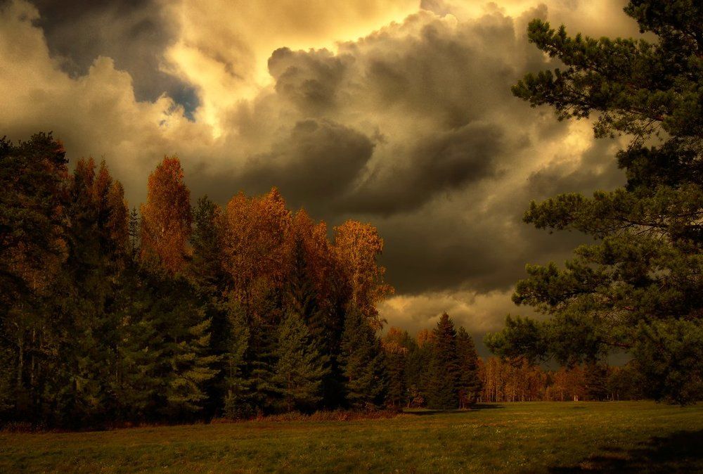 Перед грозой...