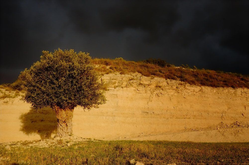 Sunrise at thunderstorm