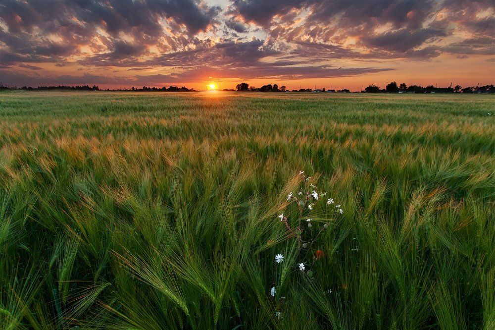 Летним вечером