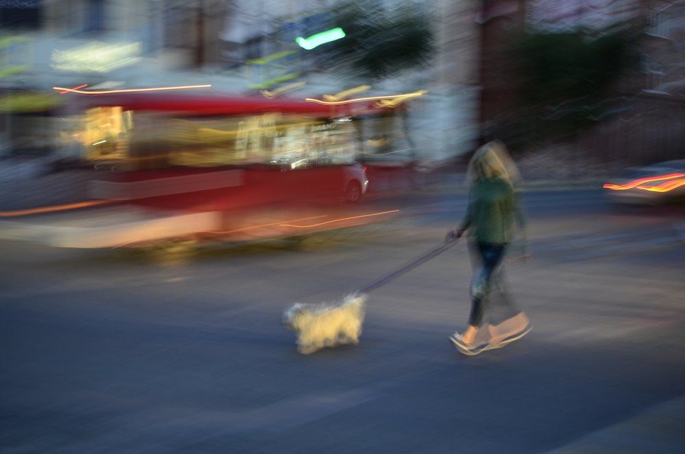 ночная прогулка