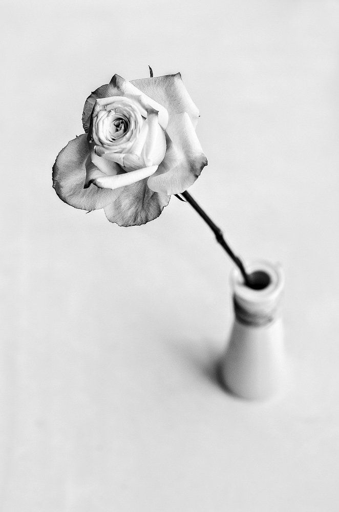 Минимализм