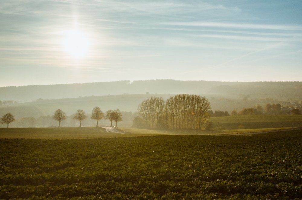 в поля. Германия. Земля Гессен