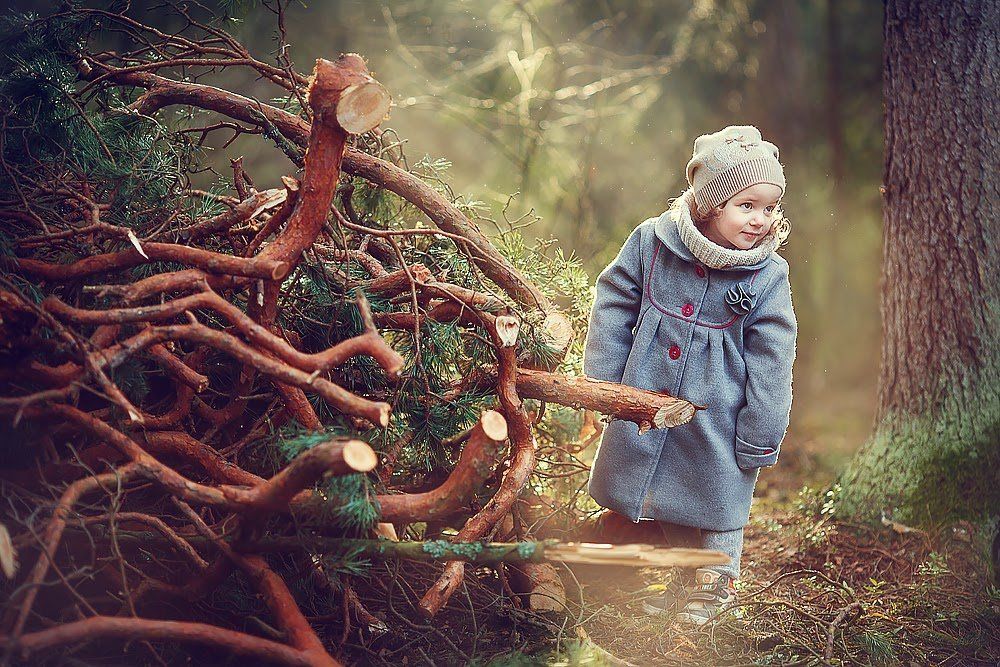 Я в лесу не заблужусь!