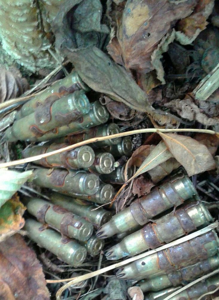 опасная но интересная находка