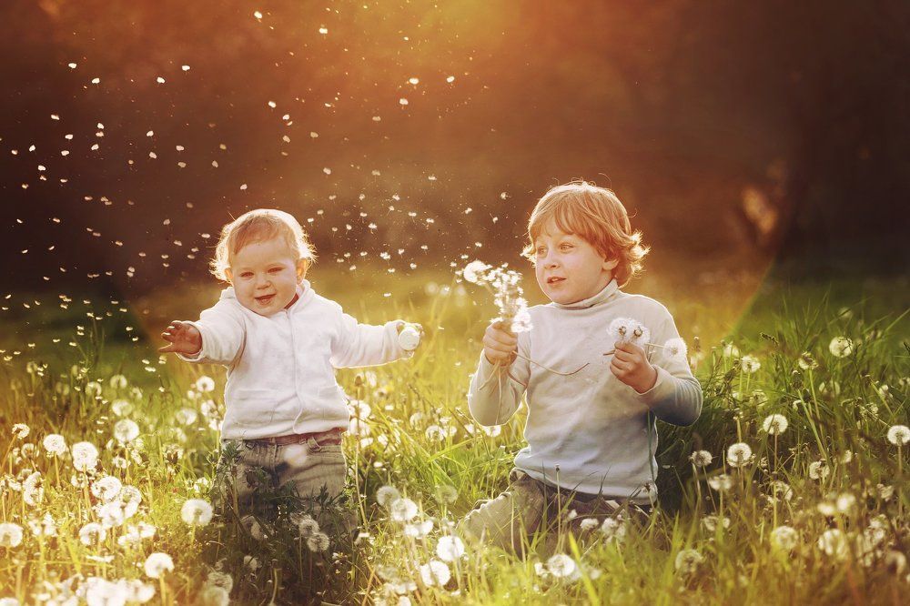 Счастье в одуванах)