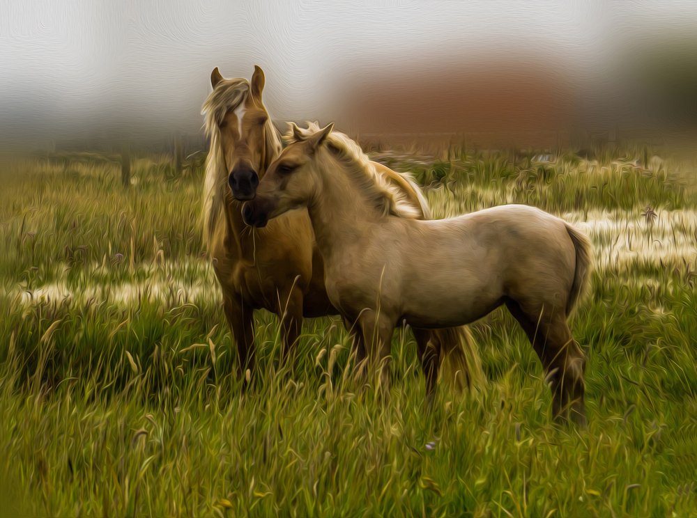 В травах луговых