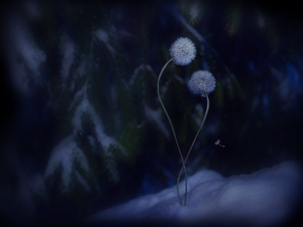 Как-нибудь перезимуем...?