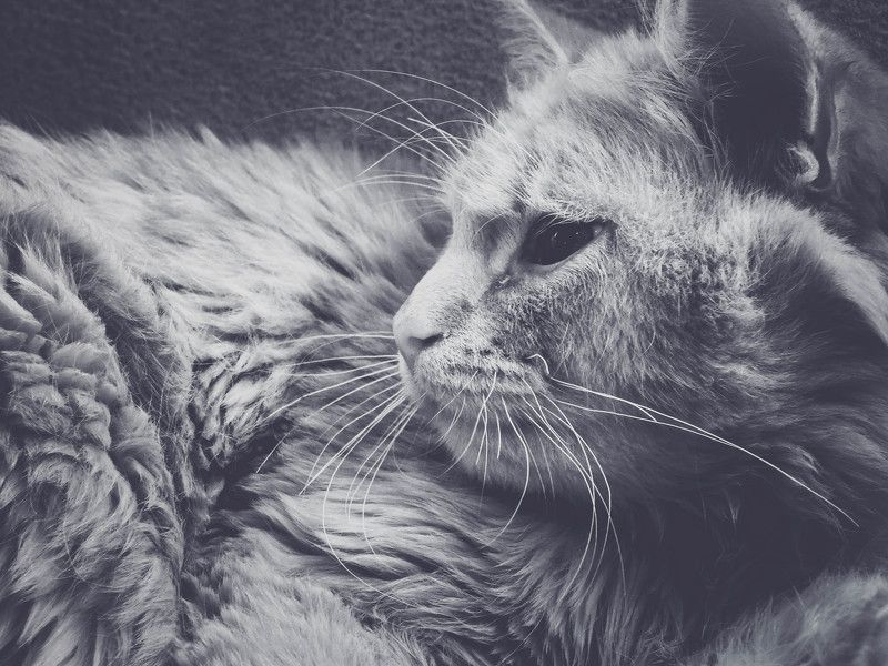 Татьяна, Belarus