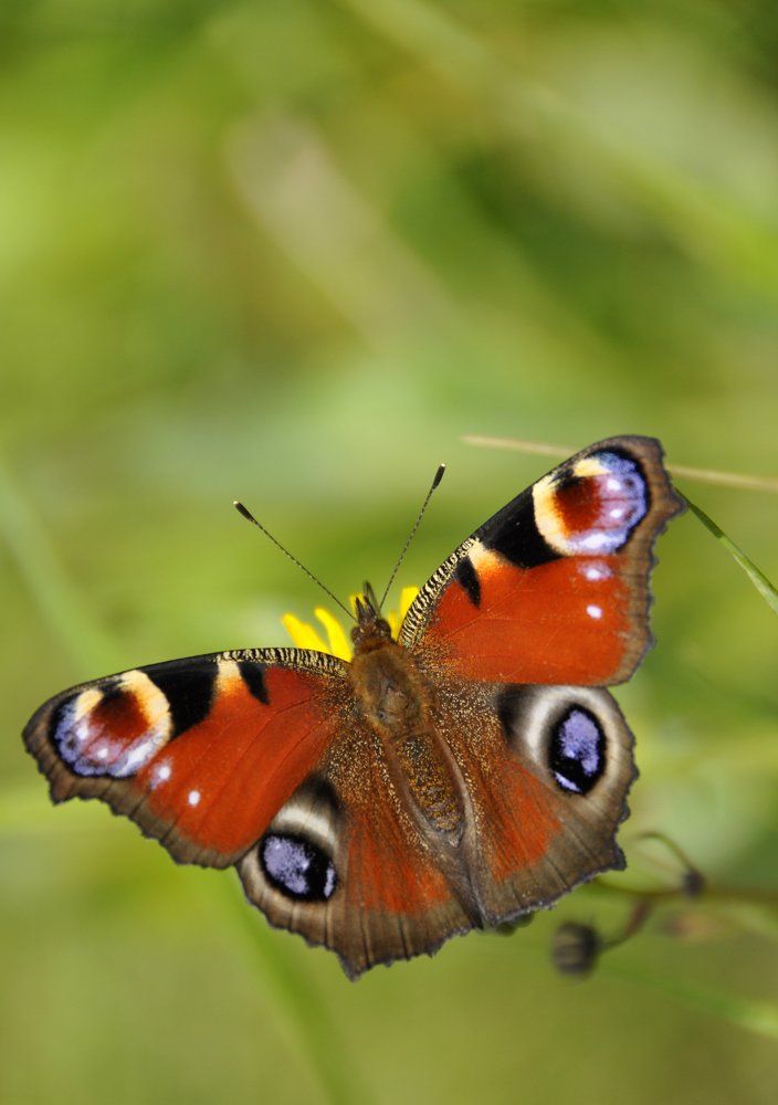 Photograph by Юлия