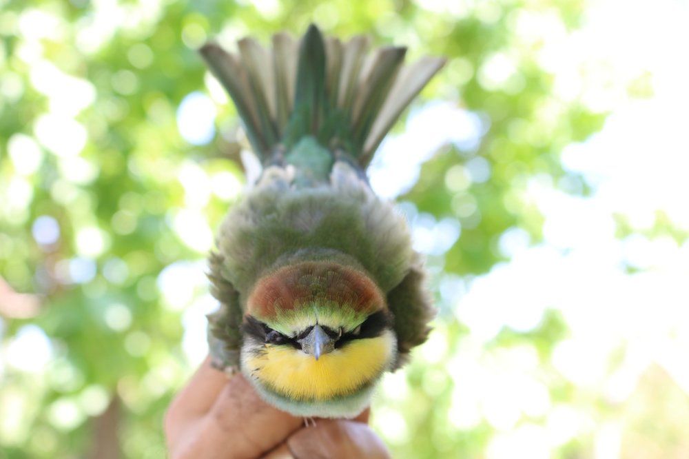 Photograph by Армен Джавакян