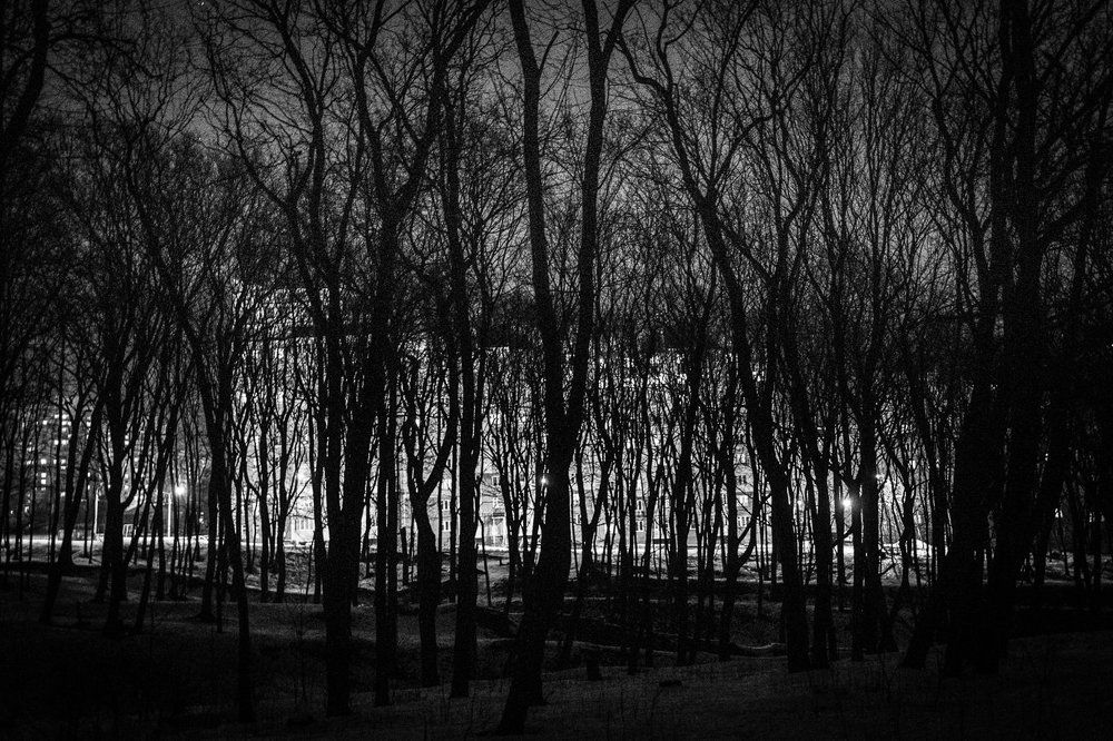 Photograph by Александр