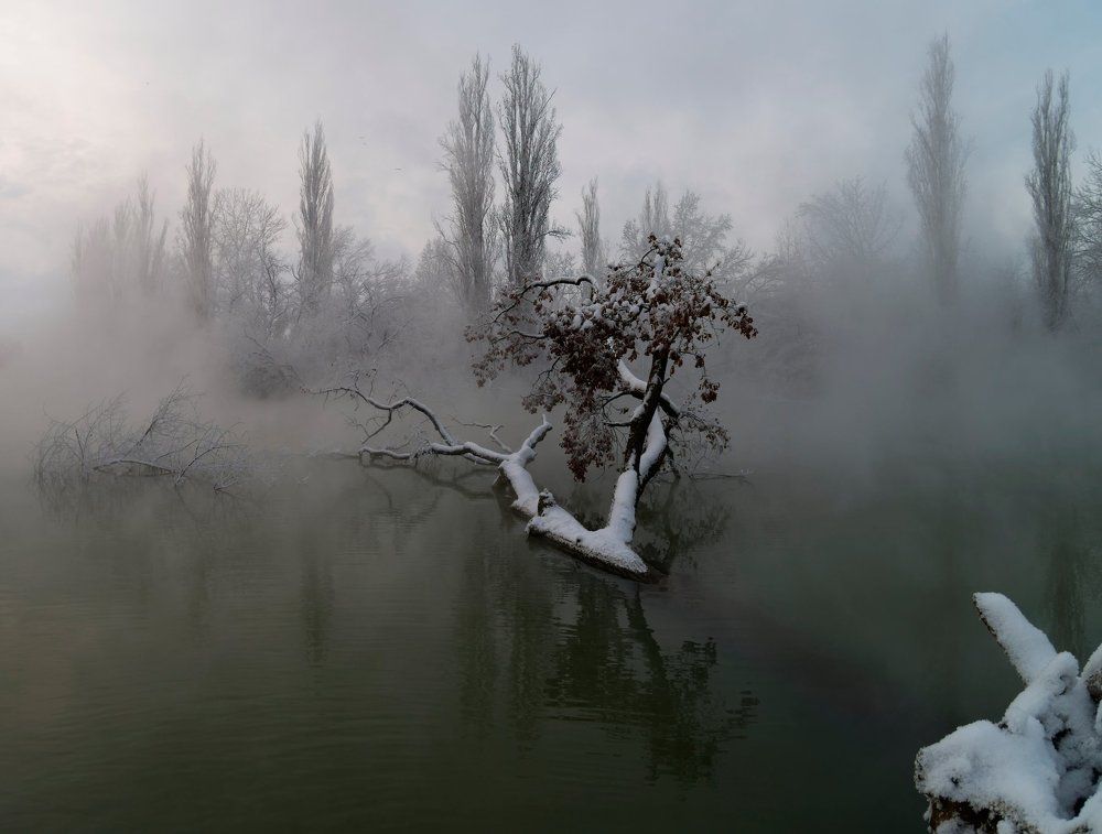 Холодное утро