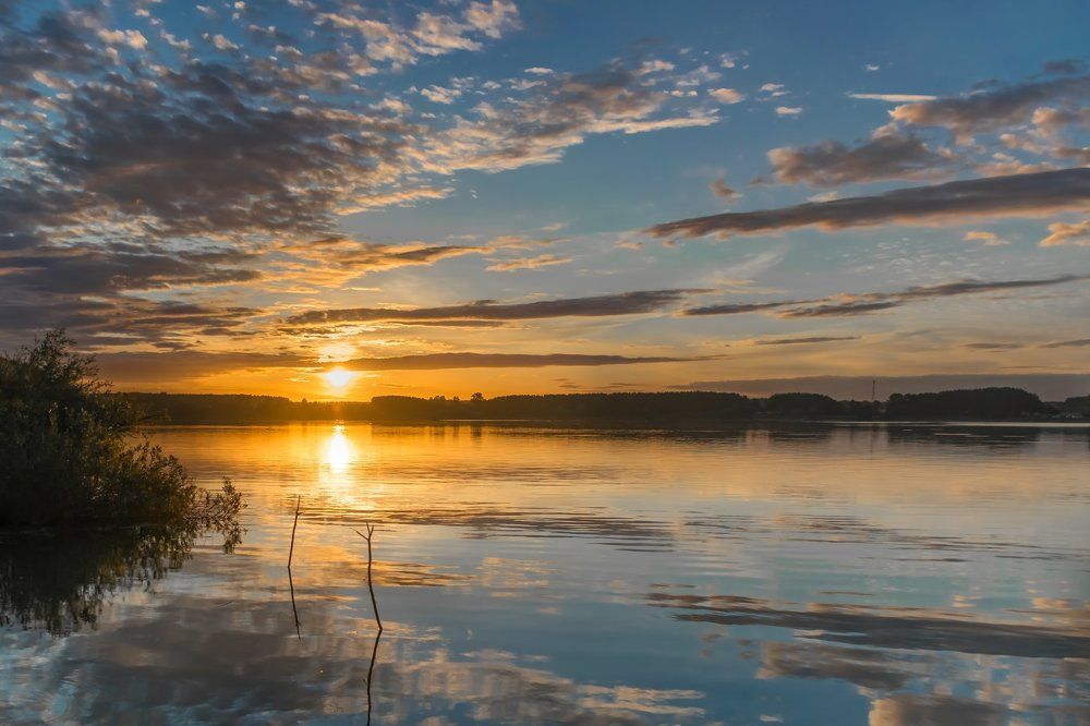 Природа подмосковья