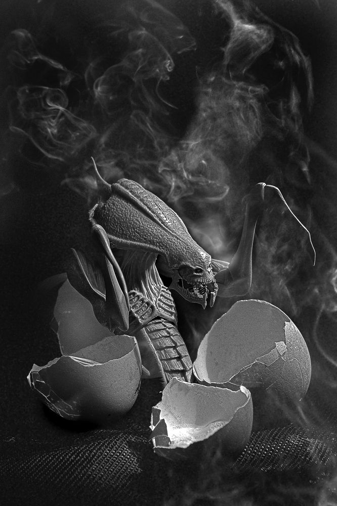 Photograph by Александр Кропп