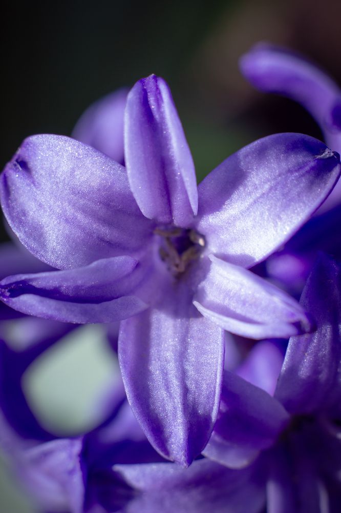 Photograph by Юлия Вялкова