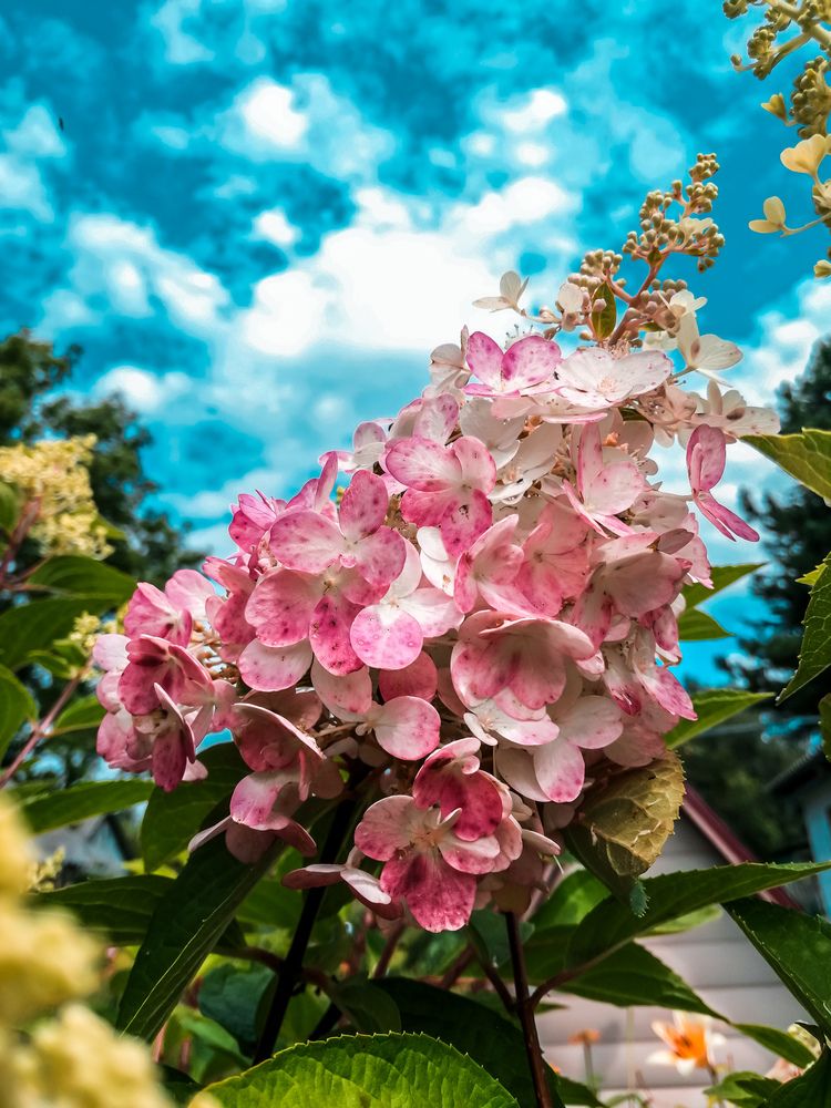 Photograph by Ксения Смольская