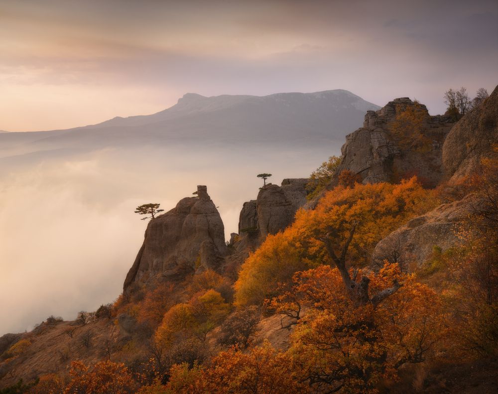 Фотография автора Гордиенко Анатолий