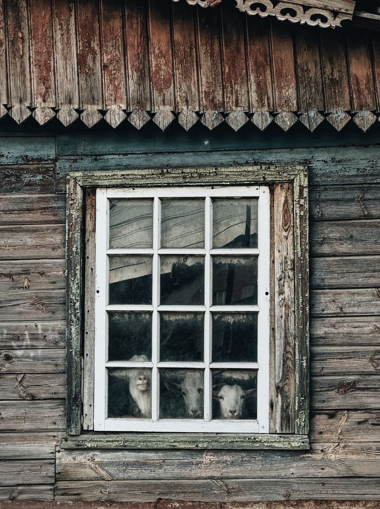 Photograph by Кирилл Соколов