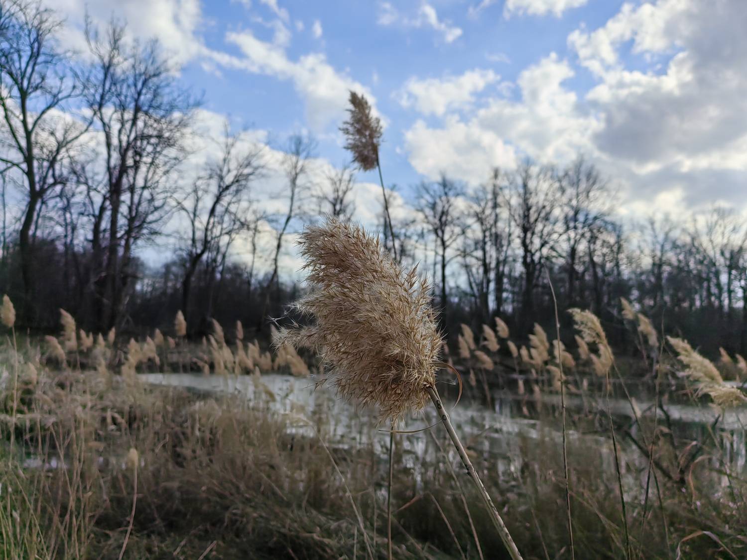 Photo #12150135