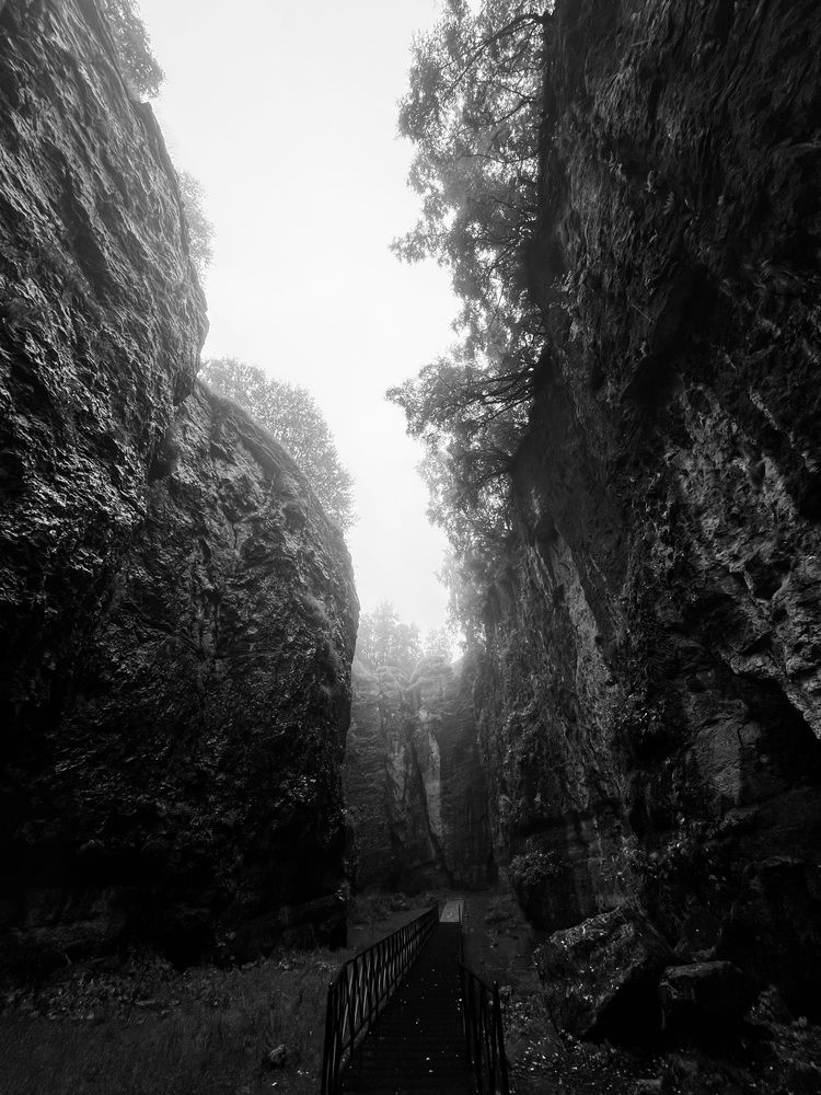 Photograph by Анастасия