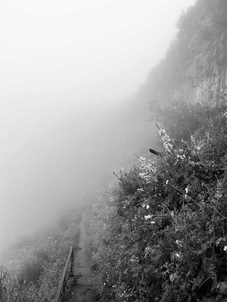 Photograph by Анастасия