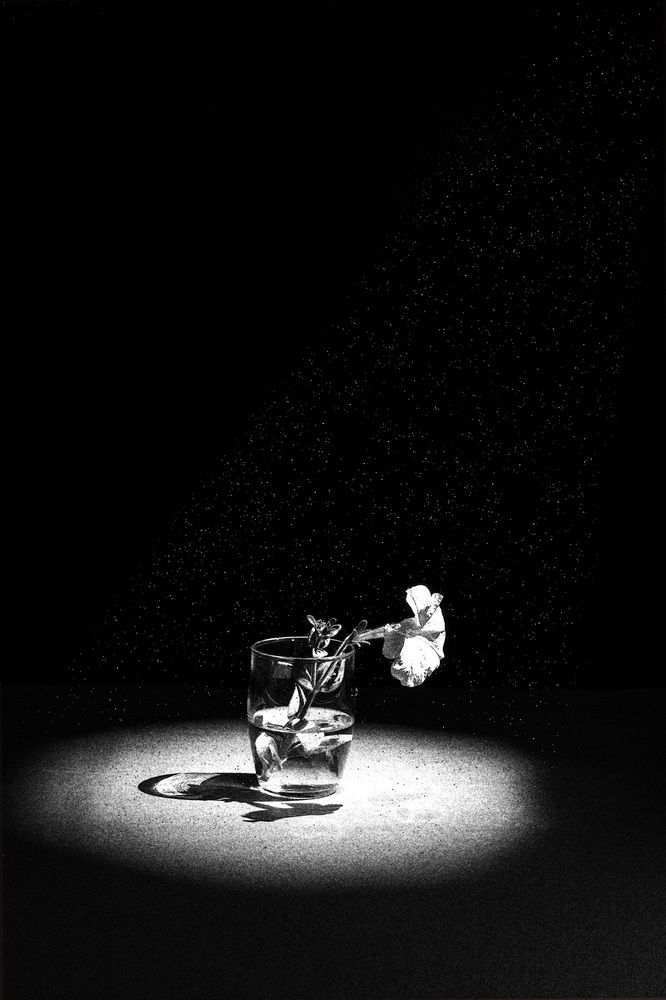 Photograph by Анатолий Костерев