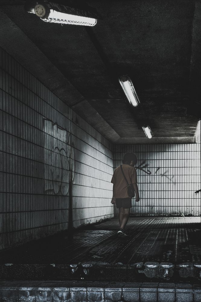 Photograph by Suzuki Ryuta