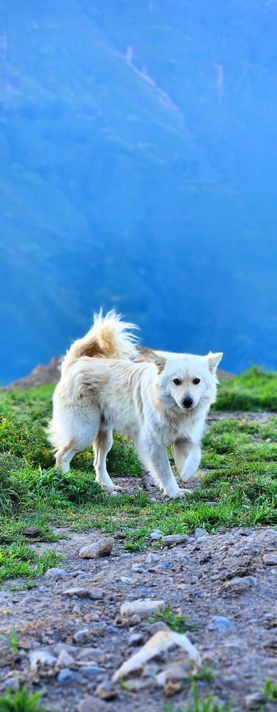 Photo #12150516
