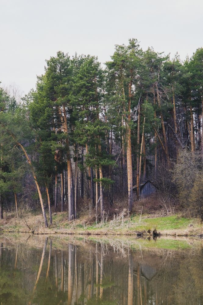 Photograph by Анатолий Вахрушев