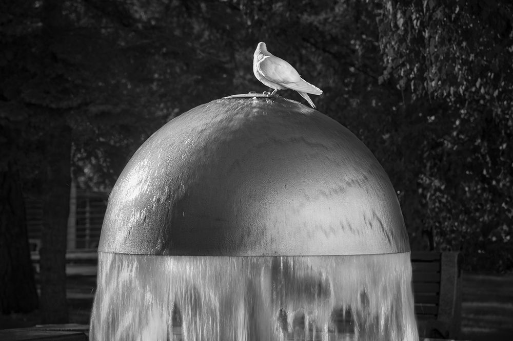 Photograph by Антипов Дмитрий