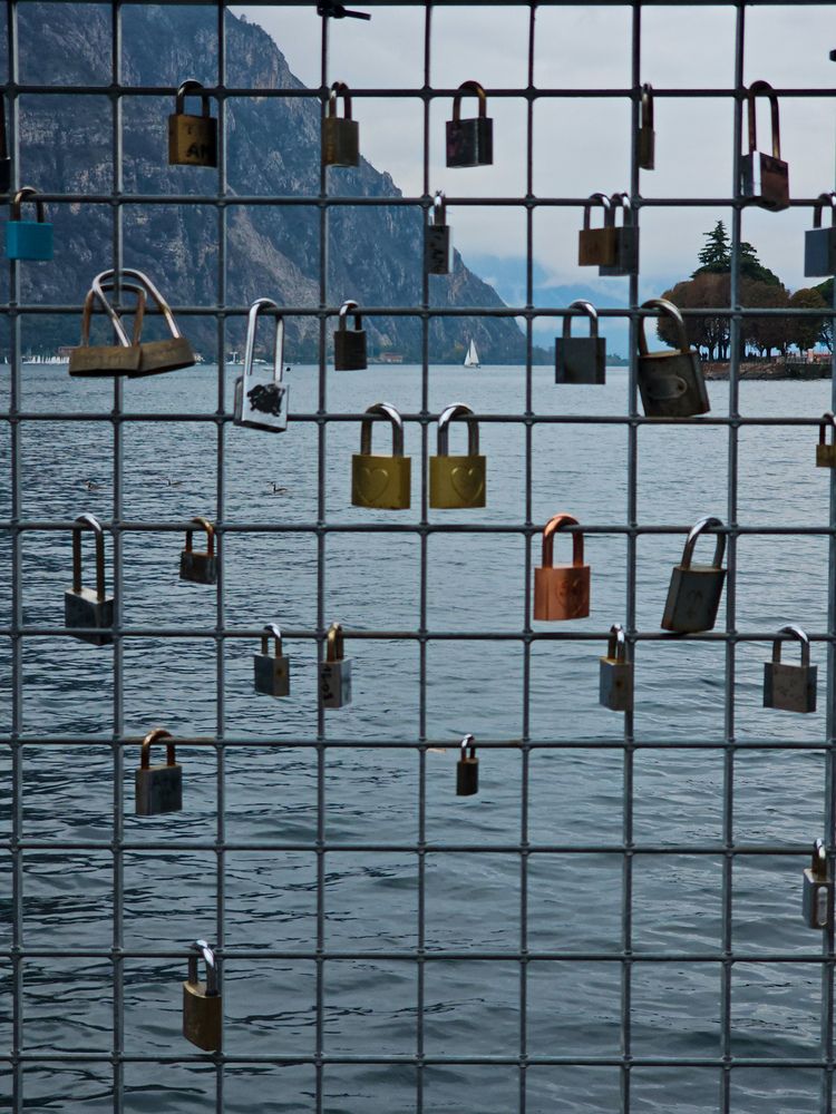 Фотография автора Ольга Шишук