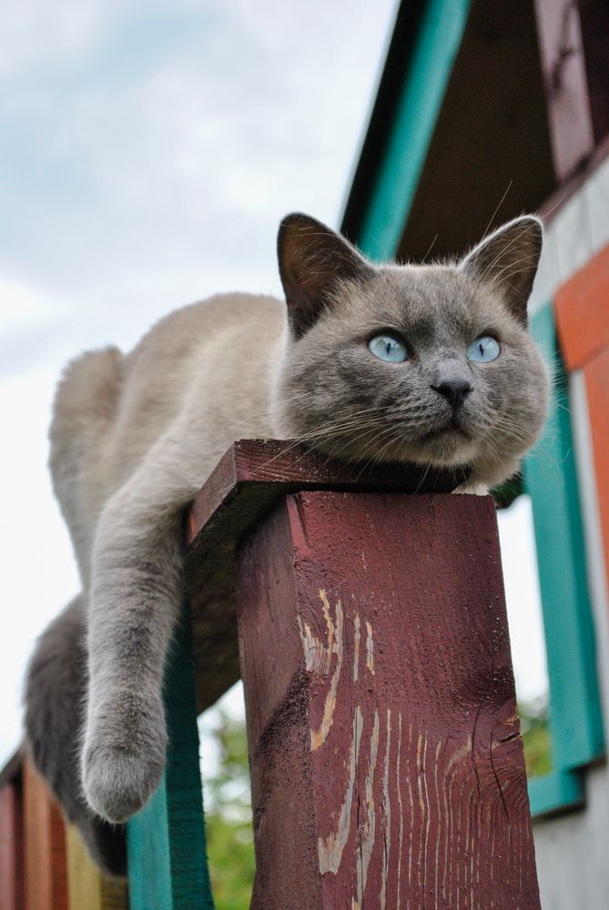 Photograph by Алесь Петкевич