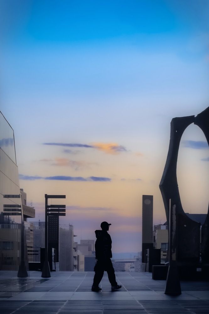 The Twilight Walker