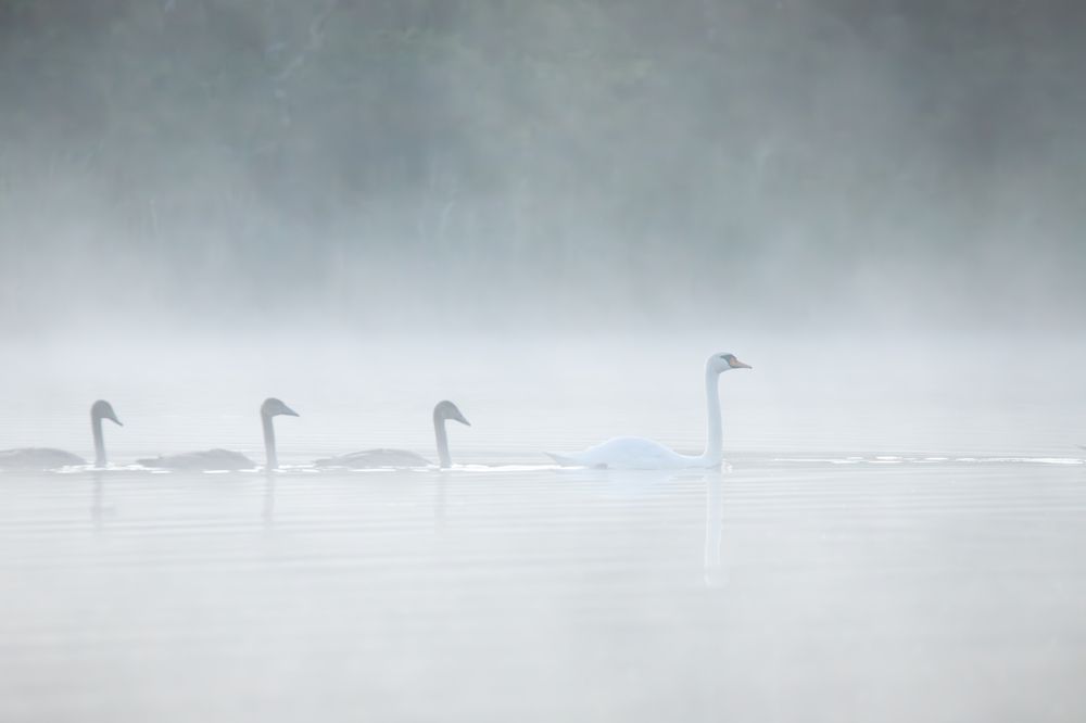 Photograph by Alexei Kriptozoy