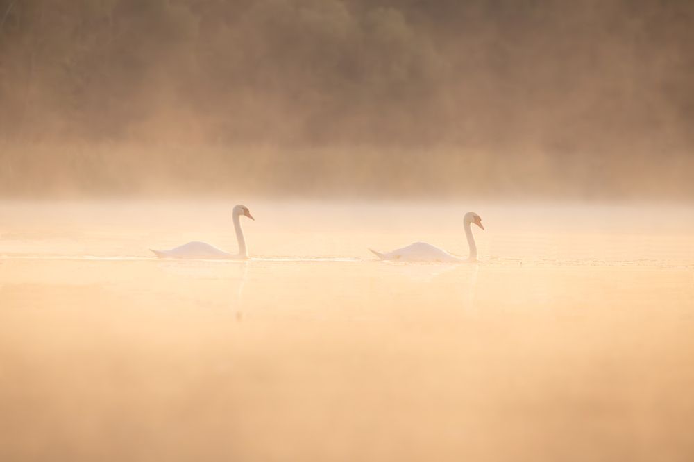 Photograph by Alexei Kriptozoy