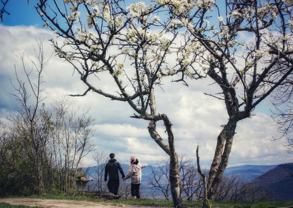 Photograph by Ульяна Митрофанова