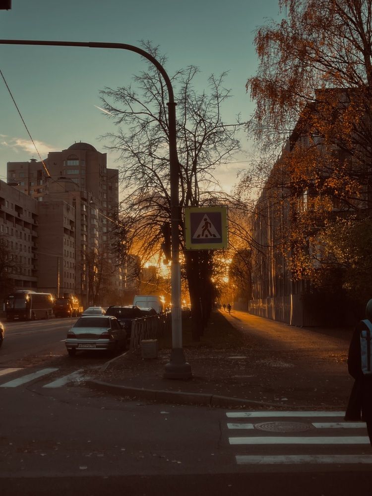 Photograph by Анастасия