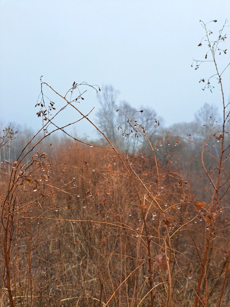 Photograph by Любовь Войтишина